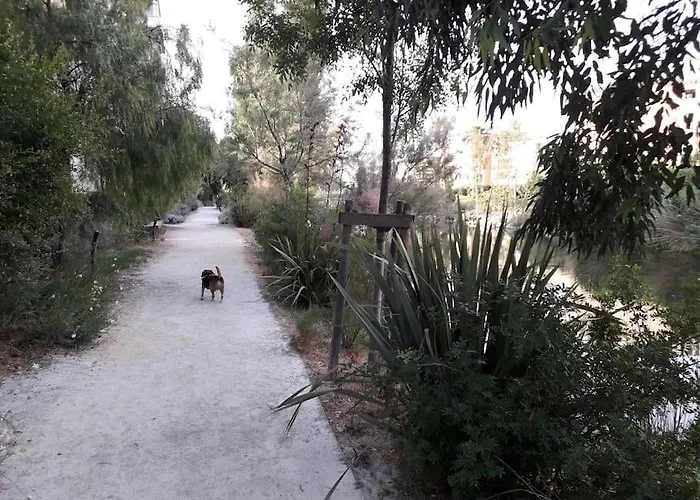 Lägenhet Antinea 22 Avec Parking Prive Clim Vue,mer